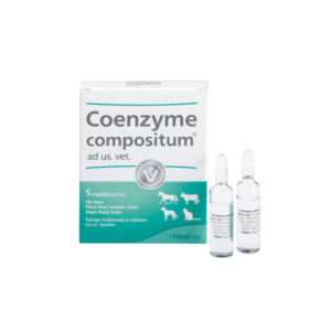 Coenzyme
