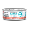 Disugual Recuperación: salmón