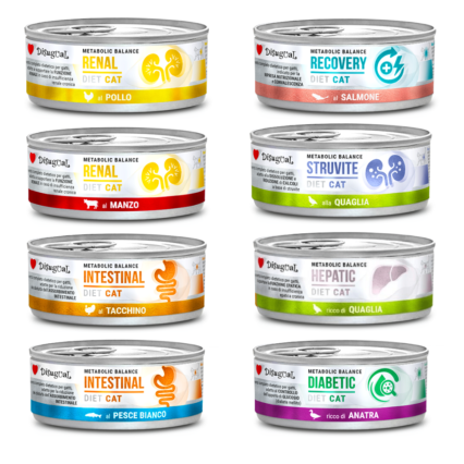 Disugual Metabolic Balance