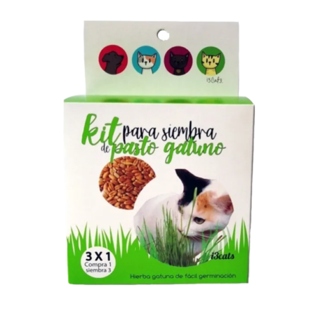 Pasto gatuno