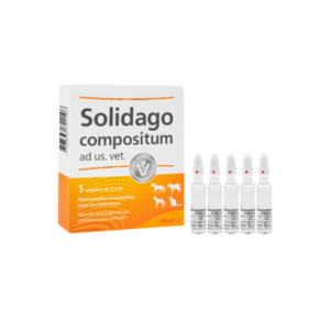 Solidago