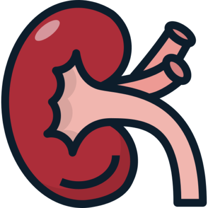 Renal